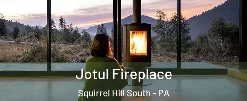 Jotul Fireplace Squirrel Hill South - PA
