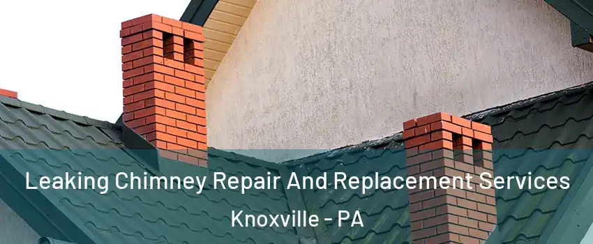 Leaking Chimney Repair And Replacement Services Knoxville - PA