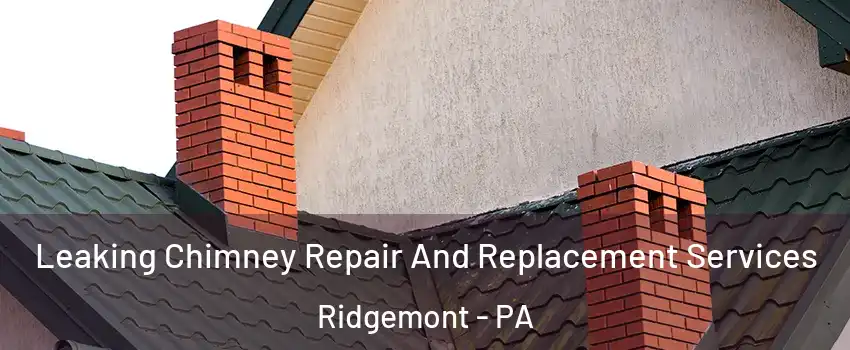 Leaking Chimney Repair And Replacement Services Ridgemont - PA