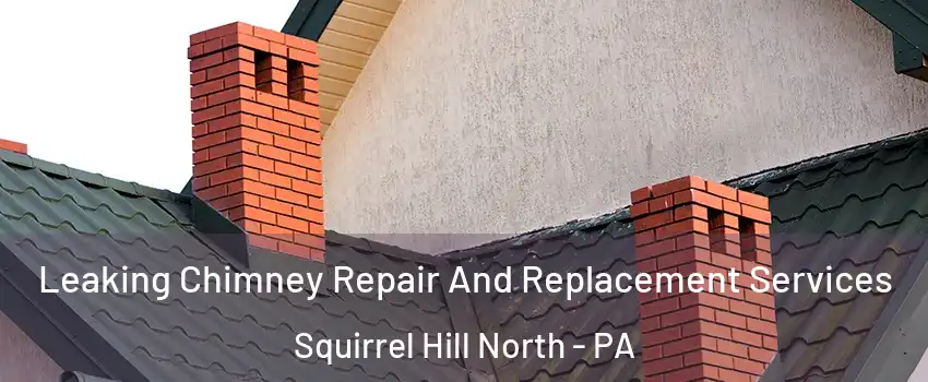 Leaking Chimney Repair And Replacement Services Squirrel Hill North - PA