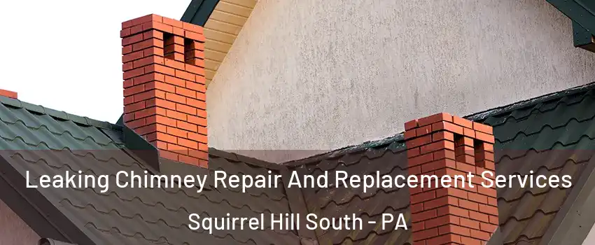 Leaking Chimney Repair And Replacement Services Squirrel Hill South - PA