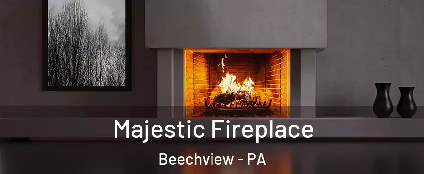 Majestic Fireplace Beechview - PA
