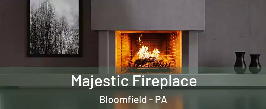 Majestic Fireplace Bloomfield - PA