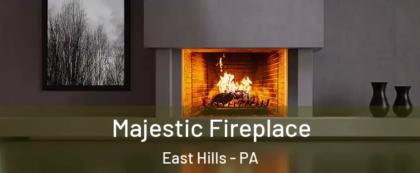 Majestic Fireplace East Hills - PA