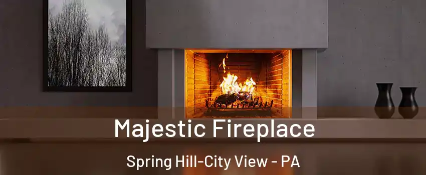 Majestic Fireplace Spring Hill-City View - PA