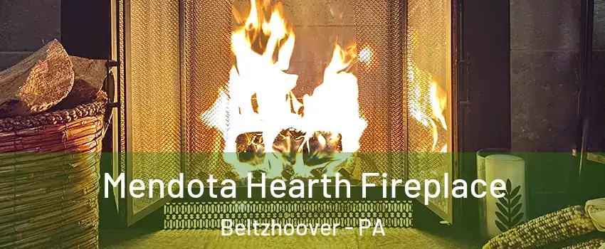 Mendota Hearth Fireplace Beltzhoover - PA