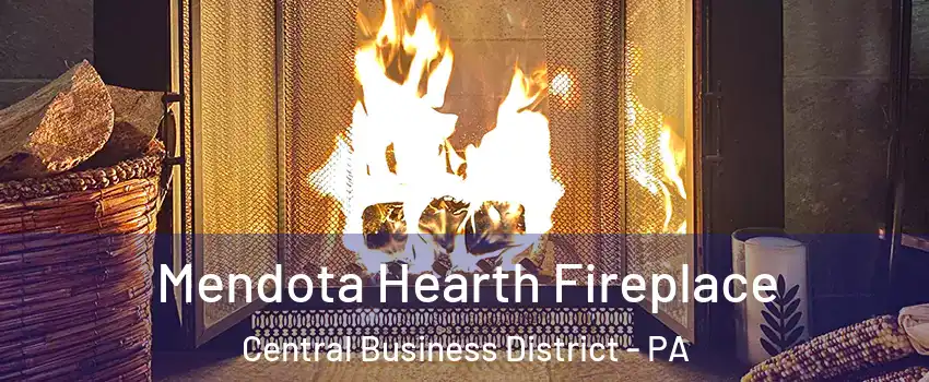 Mendota Hearth Fireplace Central Business District - PA