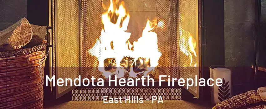 Mendota Hearth Fireplace East Hills - PA