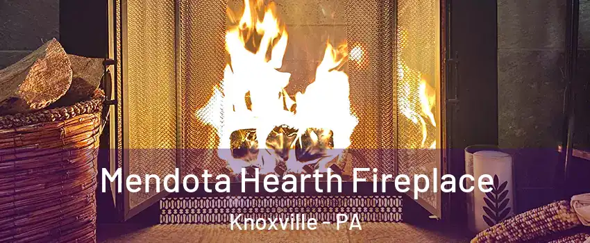 Mendota Hearth Fireplace Knoxville - PA