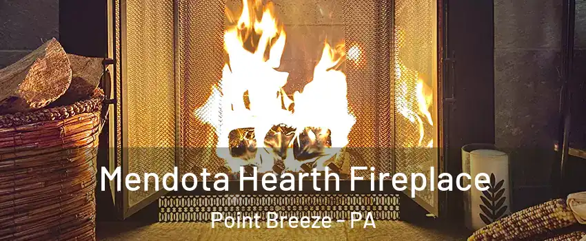 Mendota Hearth Fireplace Point Breeze - PA