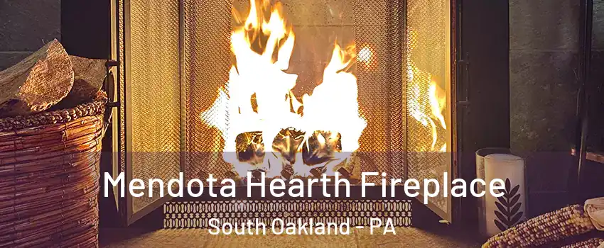 Mendota Hearth Fireplace South Oakland - PA