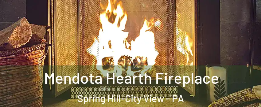 Mendota Hearth Fireplace Spring Hill-City View - PA