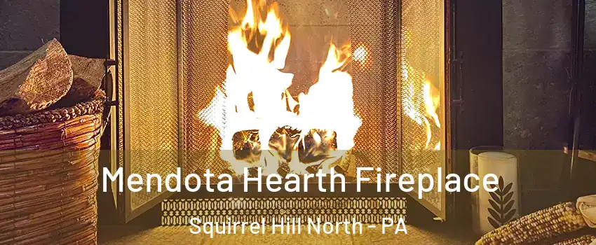 Mendota Hearth Fireplace Squirrel Hill North - PA