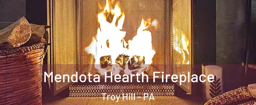 Mendota Hearth Fireplace Troy Hill - PA