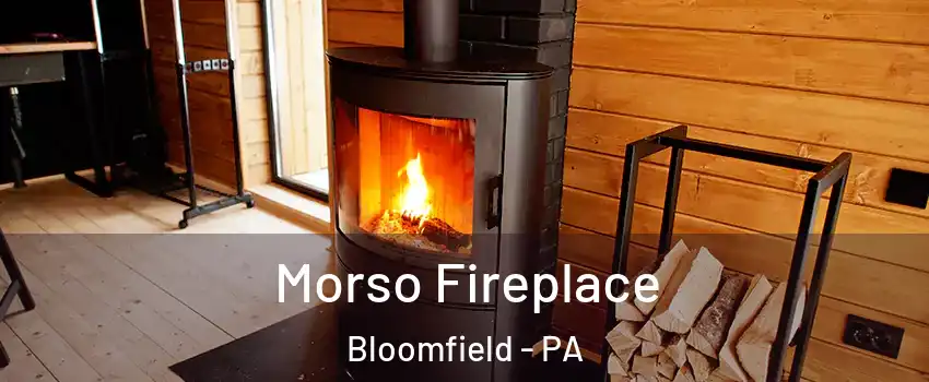 Morso Fireplace Bloomfield - PA