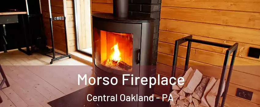 Morso Fireplace Central Oakland - PA