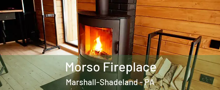 Morso Fireplace Marshall-Shadeland - PA