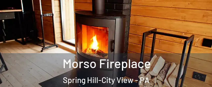Morso Fireplace Spring Hill-City View - PA