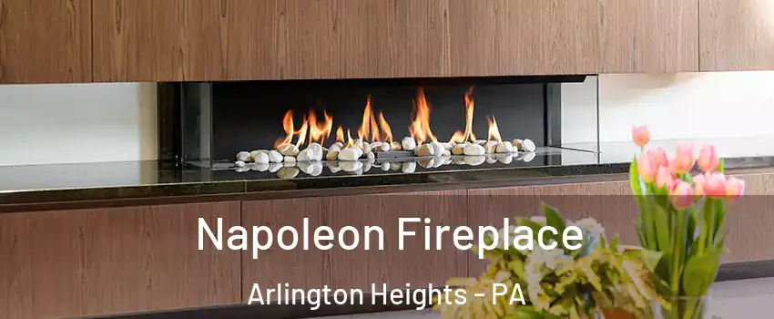Napoleon Fireplace Arlington Heights - PA