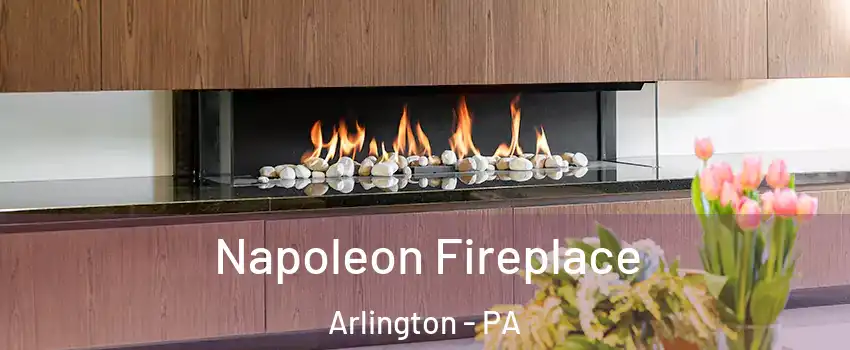Napoleon Fireplace Arlington - PA