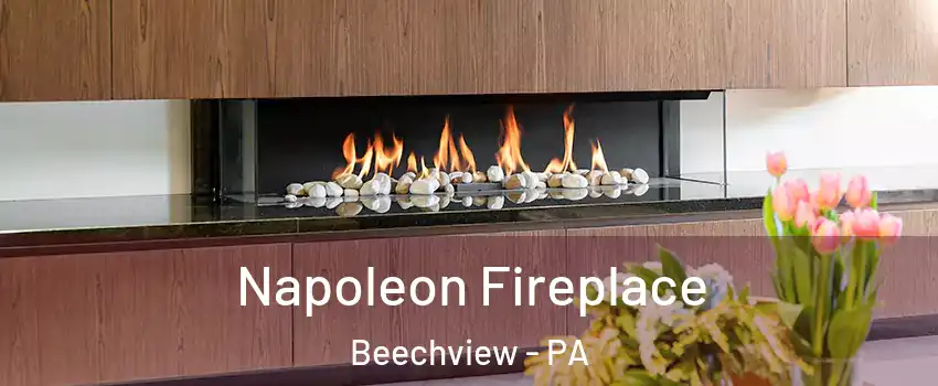 Napoleon Fireplace Beechview - PA