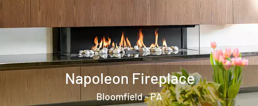 Napoleon Fireplace Bloomfield - PA