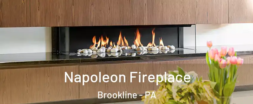 Napoleon Fireplace Brookline - PA
