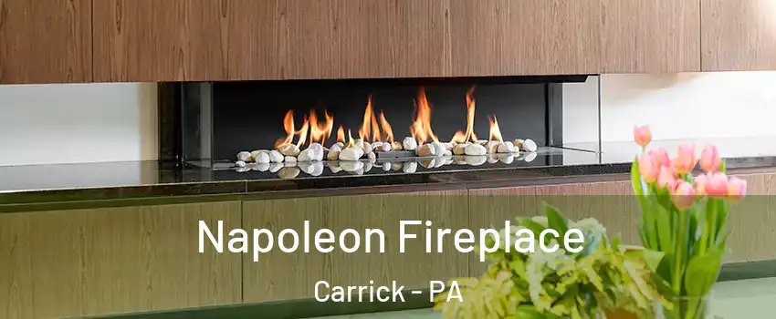 Napoleon Fireplace Carrick - PA