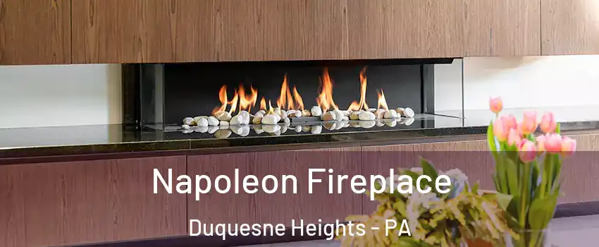 Napoleon Fireplace Duquesne Heights - PA