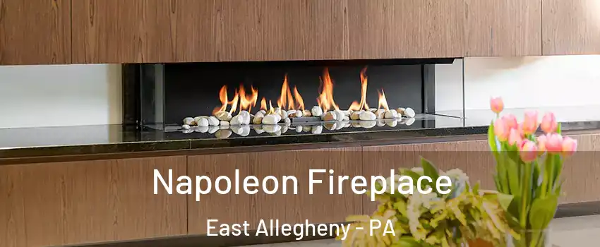 Napoleon Fireplace East Allegheny - PA