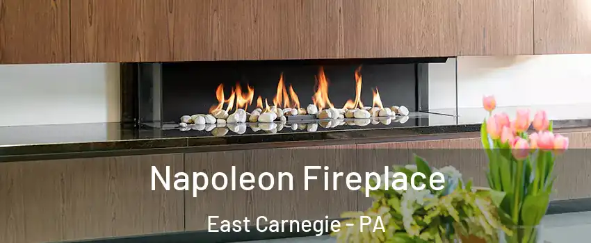 Napoleon Fireplace East Carnegie - PA