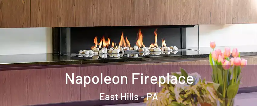 Napoleon Fireplace East Hills - PA