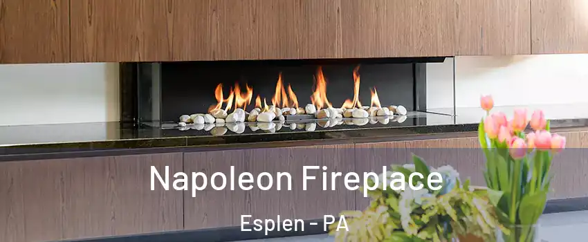 Napoleon Fireplace Esplen - PA