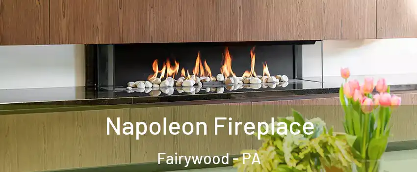 Napoleon Fireplace Fairywood - PA