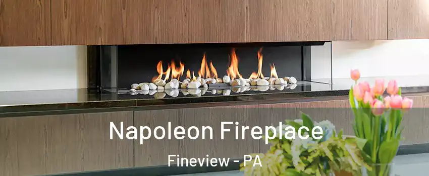 Napoleon Fireplace Fineview - PA