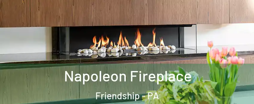 Napoleon Fireplace Friendship - PA
