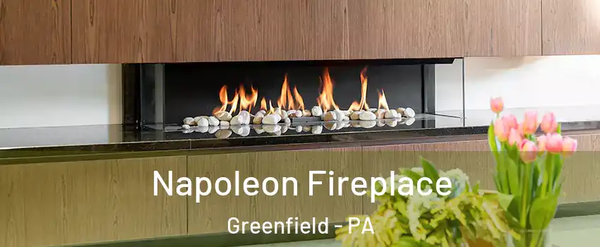 Napoleon Fireplace Greenfield - PA