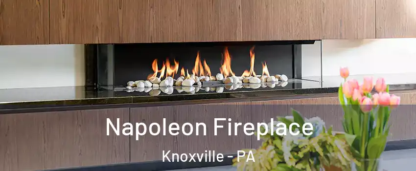 Napoleon Fireplace Knoxville - PA