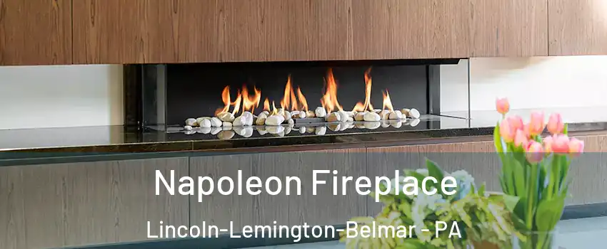 Napoleon Fireplace Lincoln-Lemington-Belmar - PA