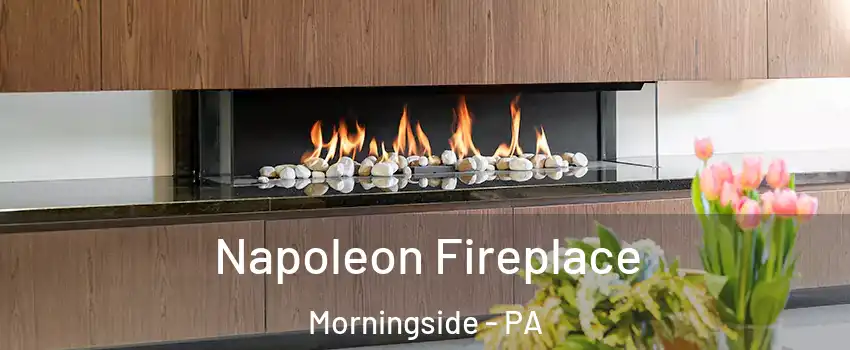 Napoleon Fireplace Morningside - PA
