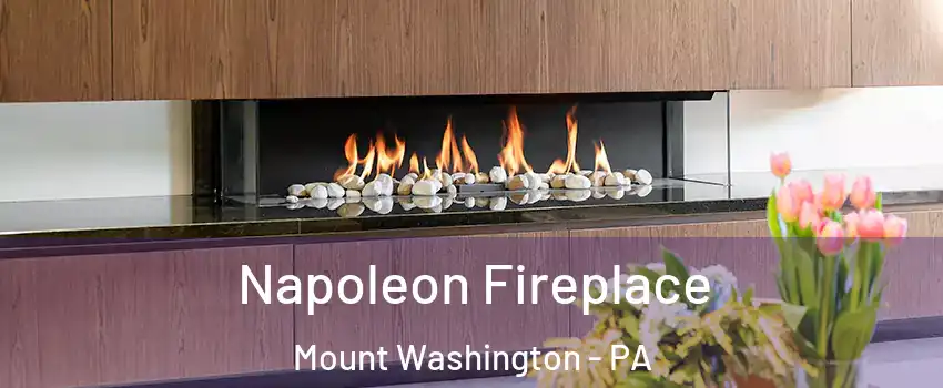 Napoleon Fireplace Mount Washington - PA