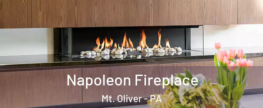 Napoleon Fireplace Mt. Oliver - PA