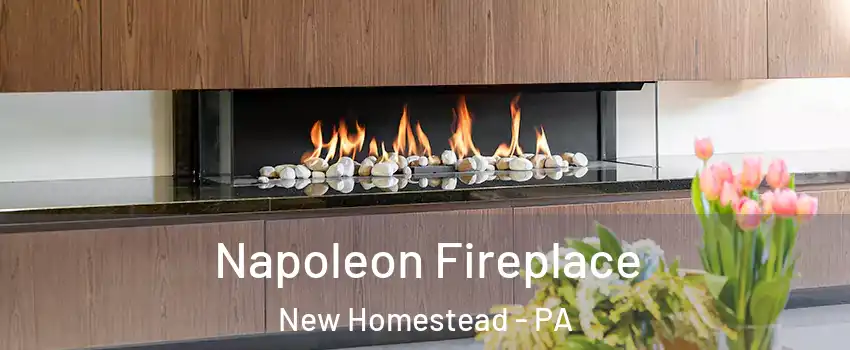 Napoleon Fireplace New Homestead - PA