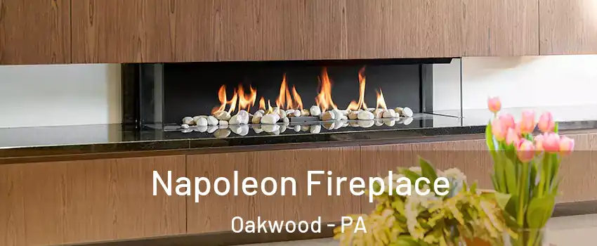 Napoleon Fireplace Oakwood - PA