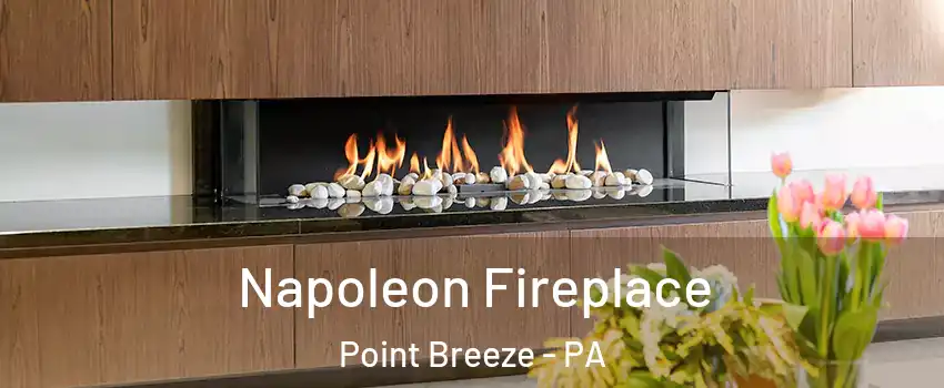 Napoleon Fireplace Point Breeze - PA