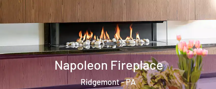 Napoleon Fireplace Ridgemont - PA