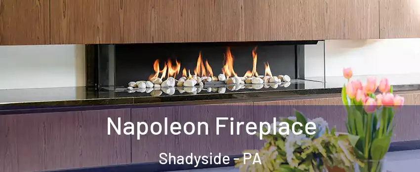 Napoleon Fireplace Shadyside - PA