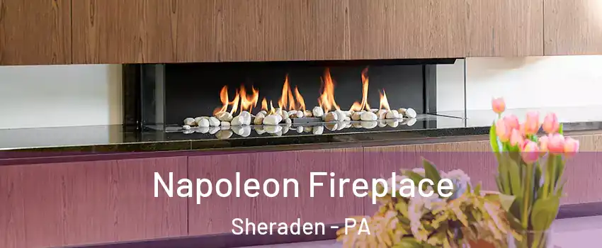 Napoleon Fireplace Sheraden - PA
