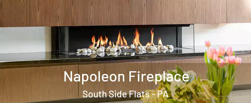 Napoleon Fireplace South Side Flats - PA