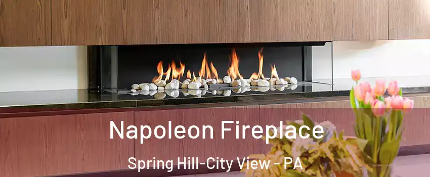 Napoleon Fireplace Spring Hill-City View - PA